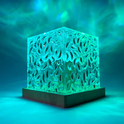 Cartsay™ Aurora